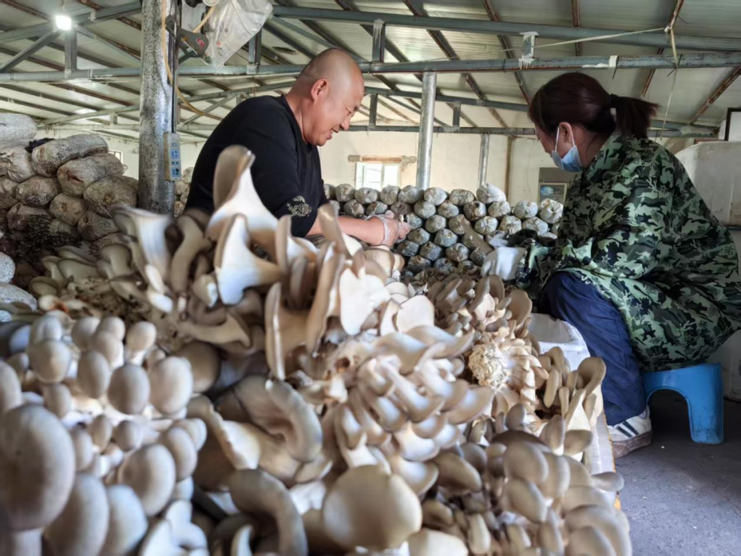 图片4.png 图片4.png